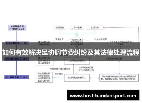 如何有效解决足协调节费纠纷及其法律处理流程