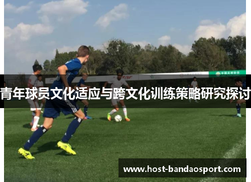 青年球员文化适应与跨文化训练策略研究探讨
